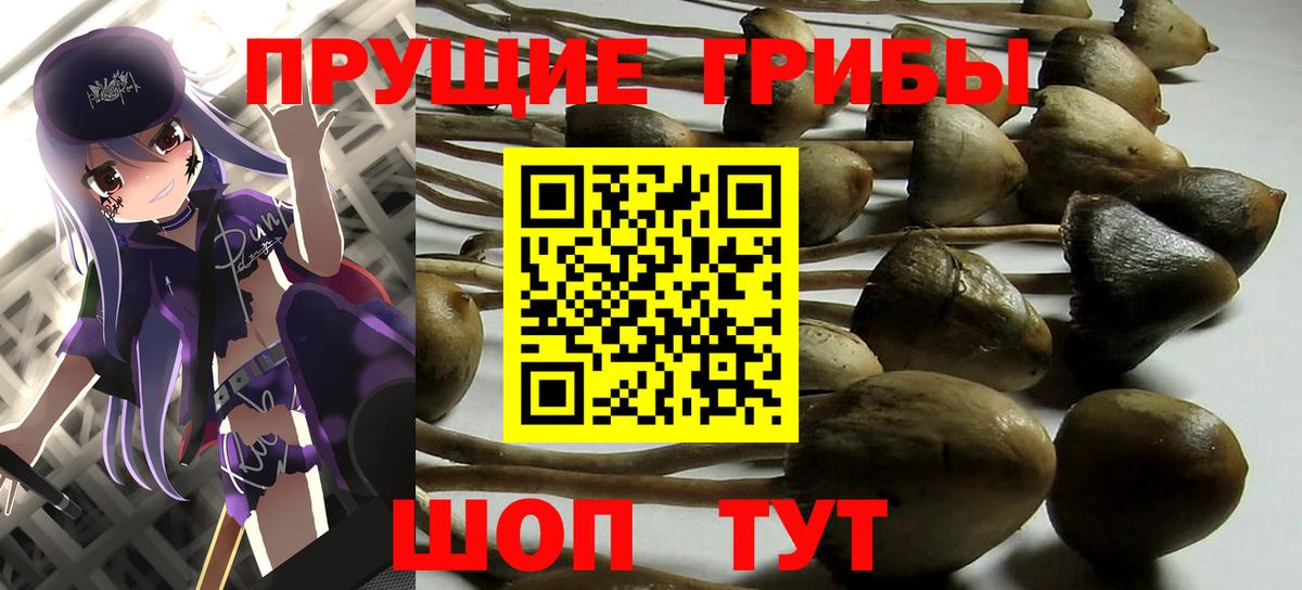 Псилоцибиновые грибы MAGIC MUSHROOMS  Вход с VPN  Егорьевск 